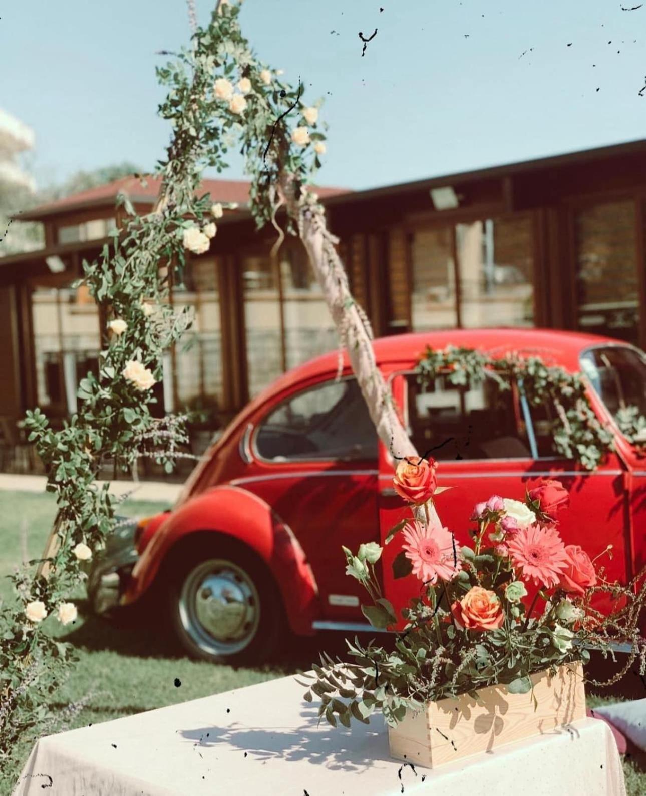 Apart Hotel Llolla Улцин Екстериор снимка